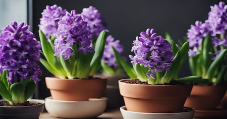 Beauty portrait of African American girl with afro hair. Beautiful black woman. A Womans face decorated with decorative hearts. Valentines day photo571の素材
