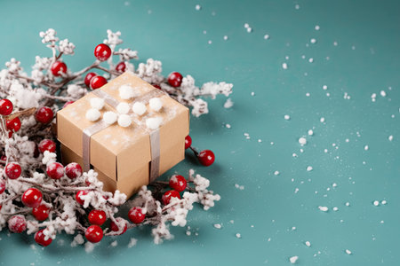Gift box with snow covered berries, christmas holiday wintertimeの素材