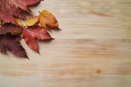 autumn leaves on a light wooden background copy space for your text or image a border of beautiful dried red leavesの素材
