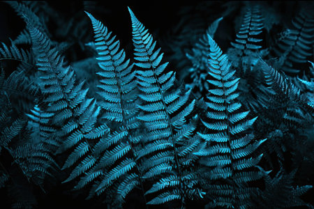 Fern leaves in dark blue tones. Natural background. Toned.の素材