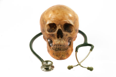 skull and stethoscopeの写真素材