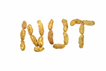 peanut on white background isolateの写真素材