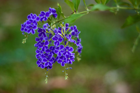 deep blue colorの写真素材
