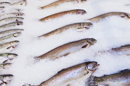 Fresh fish spread out on ice. Icy snowflakes.の写真素材