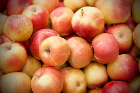 Fresh apples spread out an even layer as a background.の写真素材