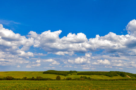 Green field and blue sky. Beautiful view of the grass and the hills on a sunny summer day. Fluffy...