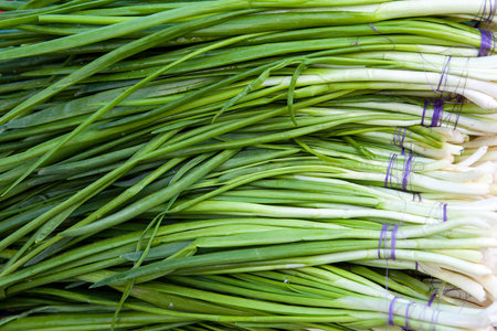 Fresh green onion in shop window.