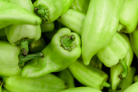 The green bell pepper is spread out evenly.の写真素材