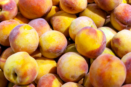 Juicy fruits of peach nectarines are spread out in even rows in the shop window.の写真素材