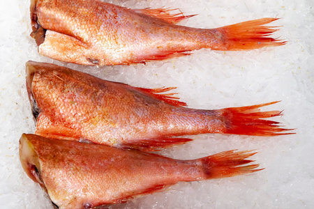 Sea bass without head lined on ice.の写真素材