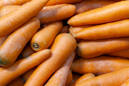 Juicy orange carrots in sunlight. Useful vegetables for cooking soup, second course, salad. Top view. Close up.の写真素材