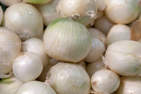 Heap of fresh ripe white onion without husk. Vegetable for salads, pizza, sauces, white salsa. Top view. Close up. Shallow deep of field.の写真素材