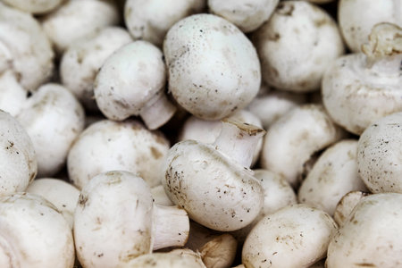 Fresh mushrooms in details on market counter. Champignons for cooking soup, sauces, pizza. Top view. Close up.の写真素材