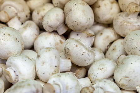 Fresh mushrooms in details on market counter. Champignons for cooking soup, sauces, pizza. Top view. Close up.の写真素材