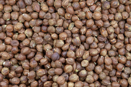 Purified hazelnuts on market counter in daylight. Fresh nuts in macro photo. Close up. Top view.の写真素材