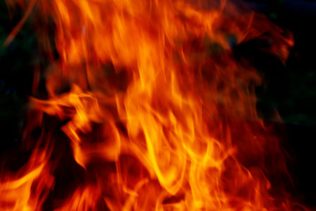 Red flames on black background. Texture of fire. Bonfire for burning of garbage, cooking. Close up.