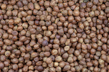 Purified hazelnuts on market counter in daylight. Fresh nuts in macro photo. Close up. Top view.の写真素材