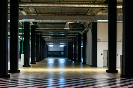 Empty storage room corridor. Prospect of receding columns. Tall black columns.のeditorial素材