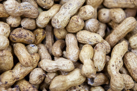Unrefined peanuts in shell on market counter in daylight. Fresh nuts in macro photo. Close up. Top view.の写真素材