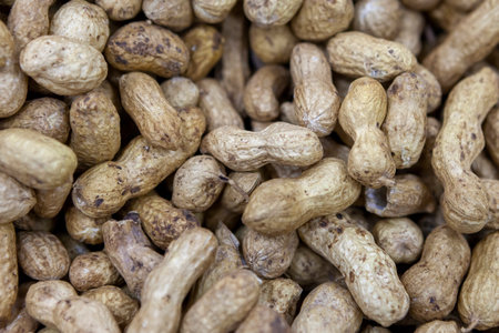 Unrefined peanuts in shell on market counter in daylight. Fresh nuts in macro photo. Close up. Top view.の写真素材