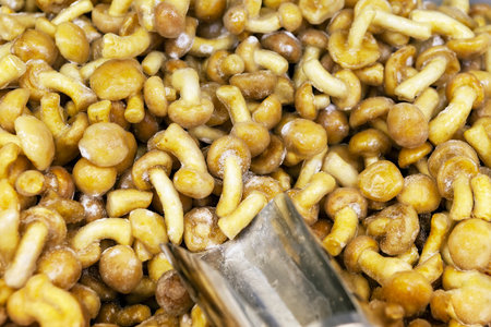 Frozen mushrooms texture with iron scoop. Frozen food,  grocery store, vegetarian product. Close up.の写真素材
