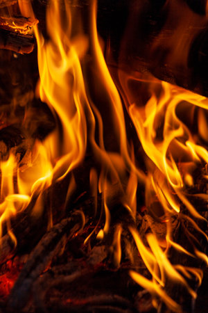 Fire, flames on a black background. Fire for advertising.の写真素材
