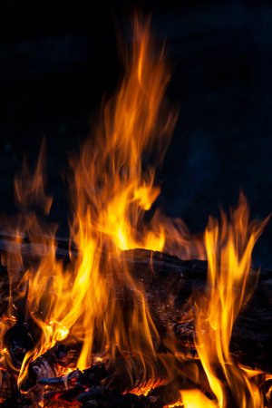 Fire, flames on a black background. Fire for advertising.の写真素材
