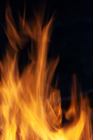 Fire, flames on a black background. Fire for advertising.の写真素材