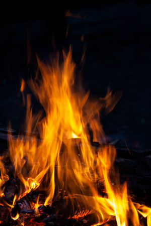 Fire, flames on a black background. Fire for advertising.の写真素材