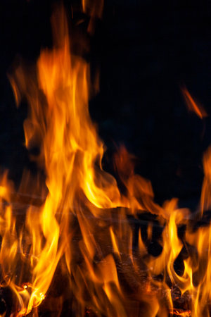 Fire, flames on a black background. Fire for advertising.の写真素材