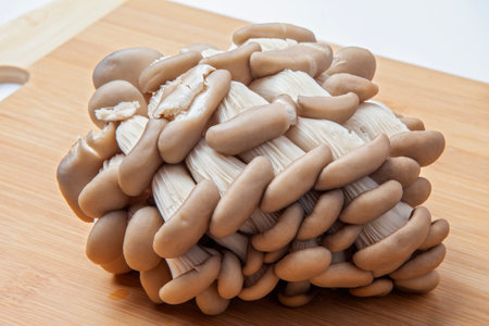 Fresh oyster mushroom clusters laid out on a natural bamboo cutting board. Delicious delicacy giving a special taste to many dishes.の写真素材