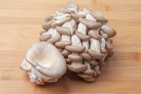 Fresh oyster mushroom clusters laid out on a natural bamboo cutting board. Delicious delicacy giving a special taste to many dishes.の写真素材