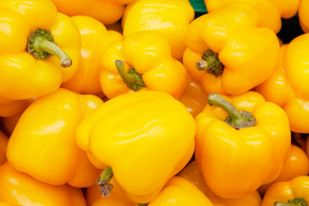 Fresh yellow bell pepper. Delicious and brilliant.の写真素材