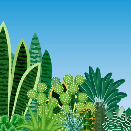 Cactus and succulents. Natural background of indoor plants isolated on blue background. Vector illustration.のイラスト素材