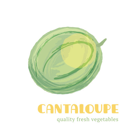 Fresh cantaloupe isolated on white background. Healthy food for the design of menu. Hand-drawn color vegetable design. Vector illustration.のイラスト素材