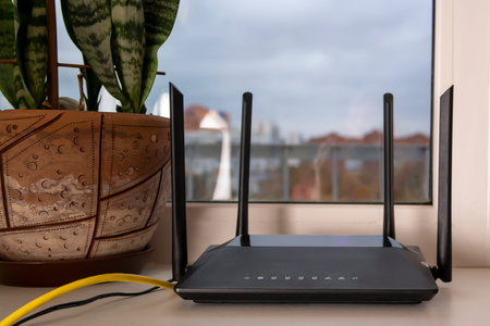 a black  router stands on the windowsill,next to a potted flower