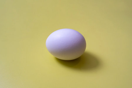 one egg lies on a yellow backgroundの写真素材