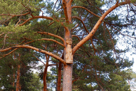 wooden carved figure of a cat hanging in the park on a pine tree.