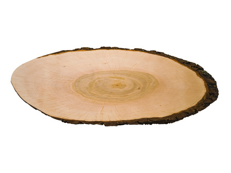 Crosscut of a tree log with circled texture, isolated on whit background. Can be also used as a plaque and wooden sign.の写真素材