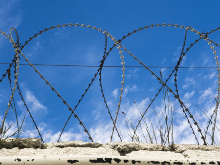 Barbed wire of a prison fence on blue sky background, horizontalの写真素材