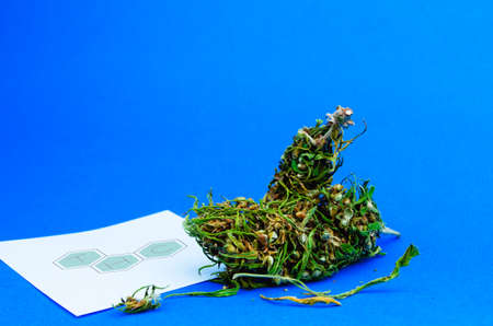 Medical cannabis concept. Flowers buds of marijuana and paper sheet with THC sign. CBD or THC cannabisの写真素材