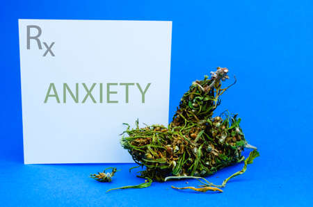 Medical cannabis concept. Flowers buds of marijuana and recipe for anxiety. CBD or THC weed or hempの写真素材