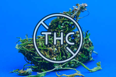 Macro photo of marijuana flower buds. Medical cannabis conceptの写真素材