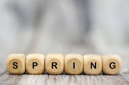 The word Spring on wooden cubes. Seasons of yearの写真素材