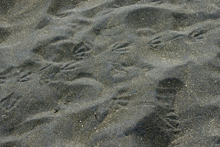 black beach