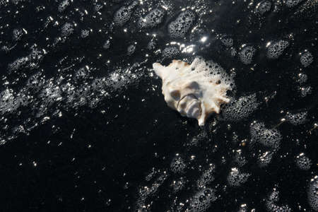 beach space - 2の写真素材