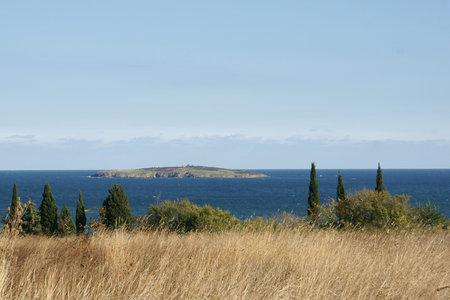 autumn coast - 10の写真素材