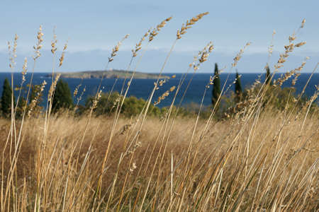 autumn coast の写真素材