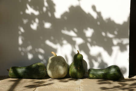 pumpkinsの写真素材