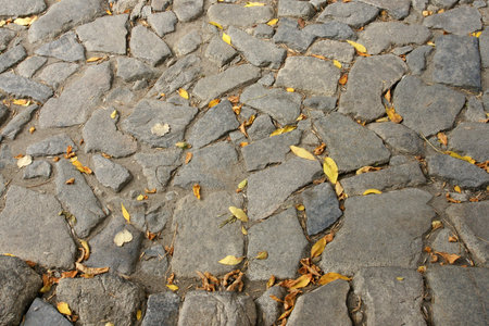 autumn street - 18の写真素材